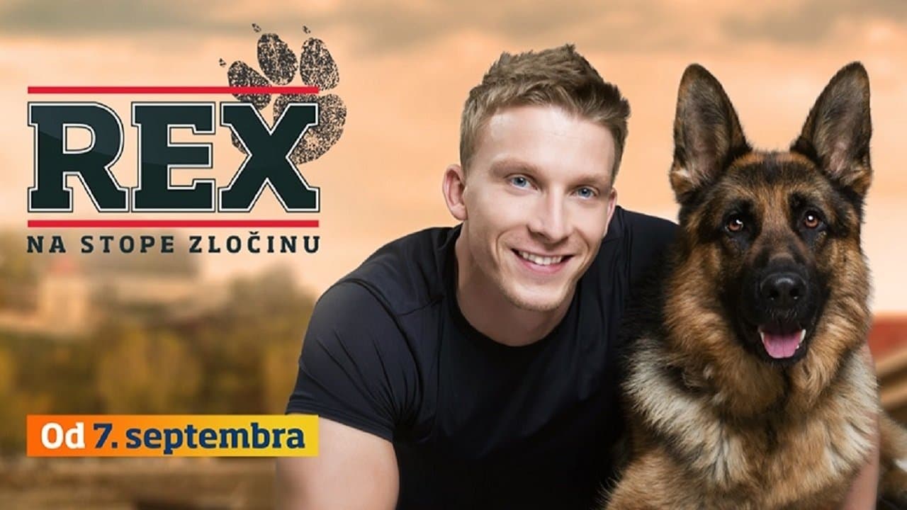Rex Bajeczki