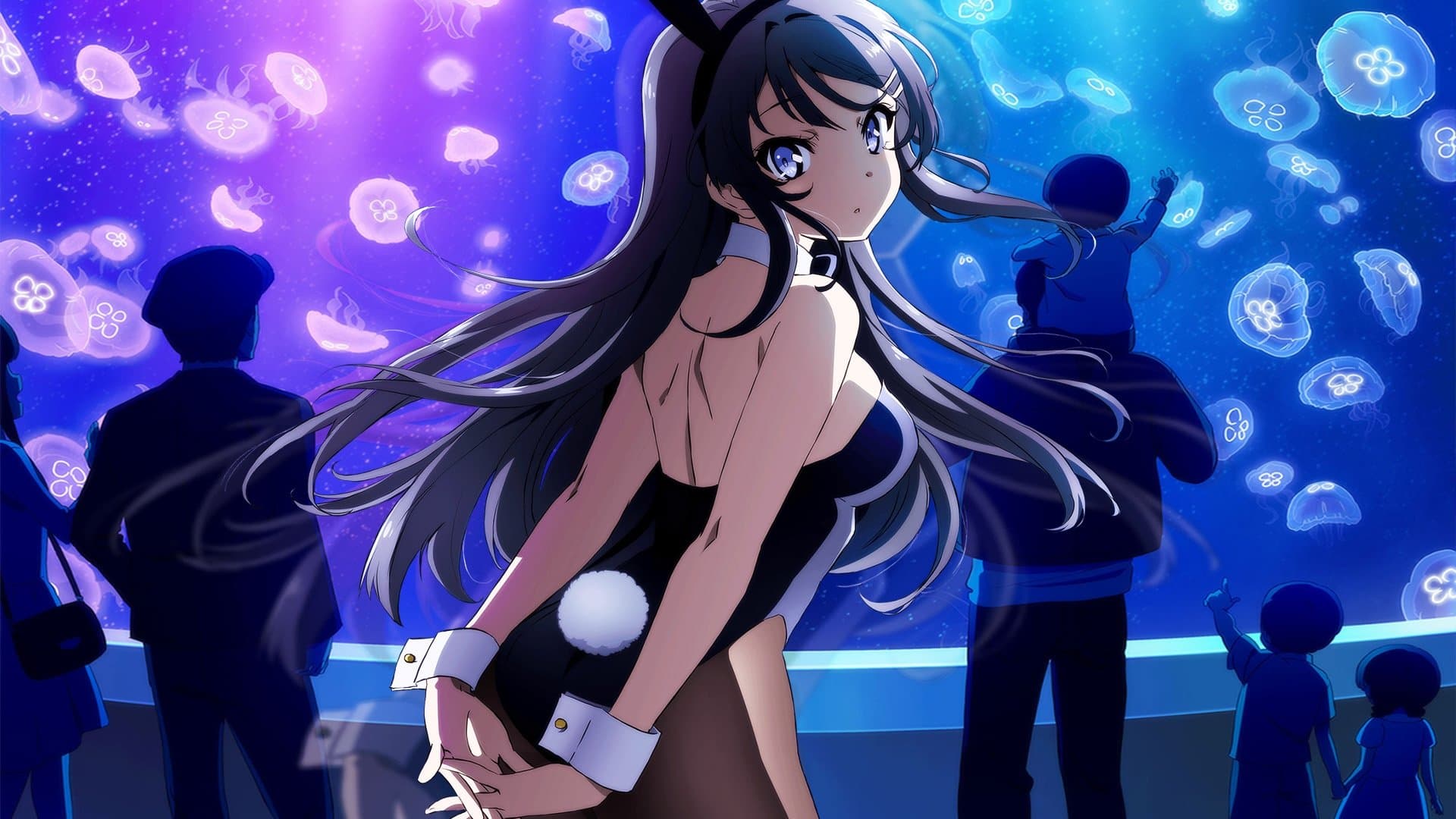 Rascal Does Not Dream of Bunny Girl Senpai Bajeczki