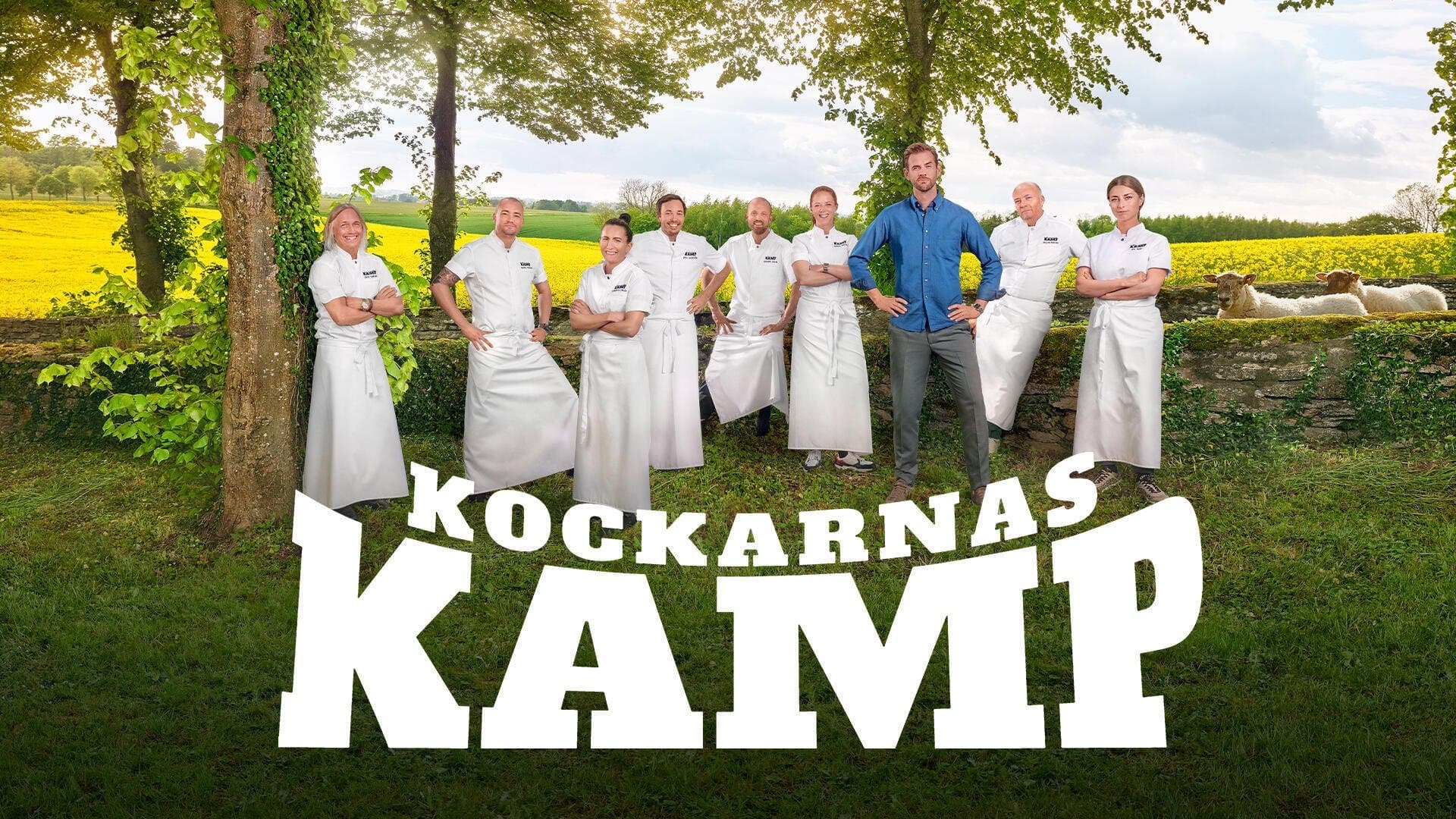 Kockarnas kamp Bajeczki