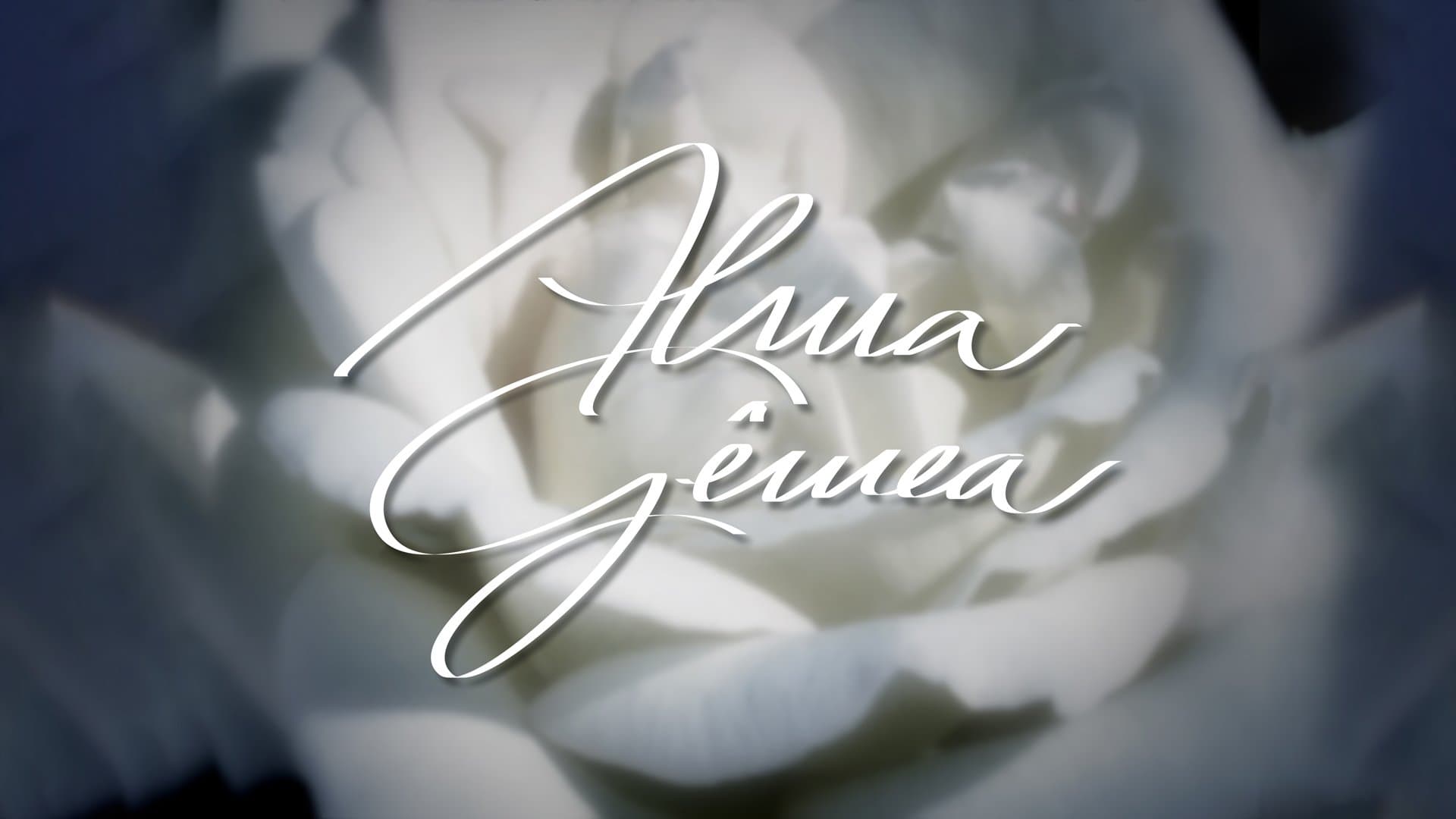 Alma Gêmea Bajeczki
