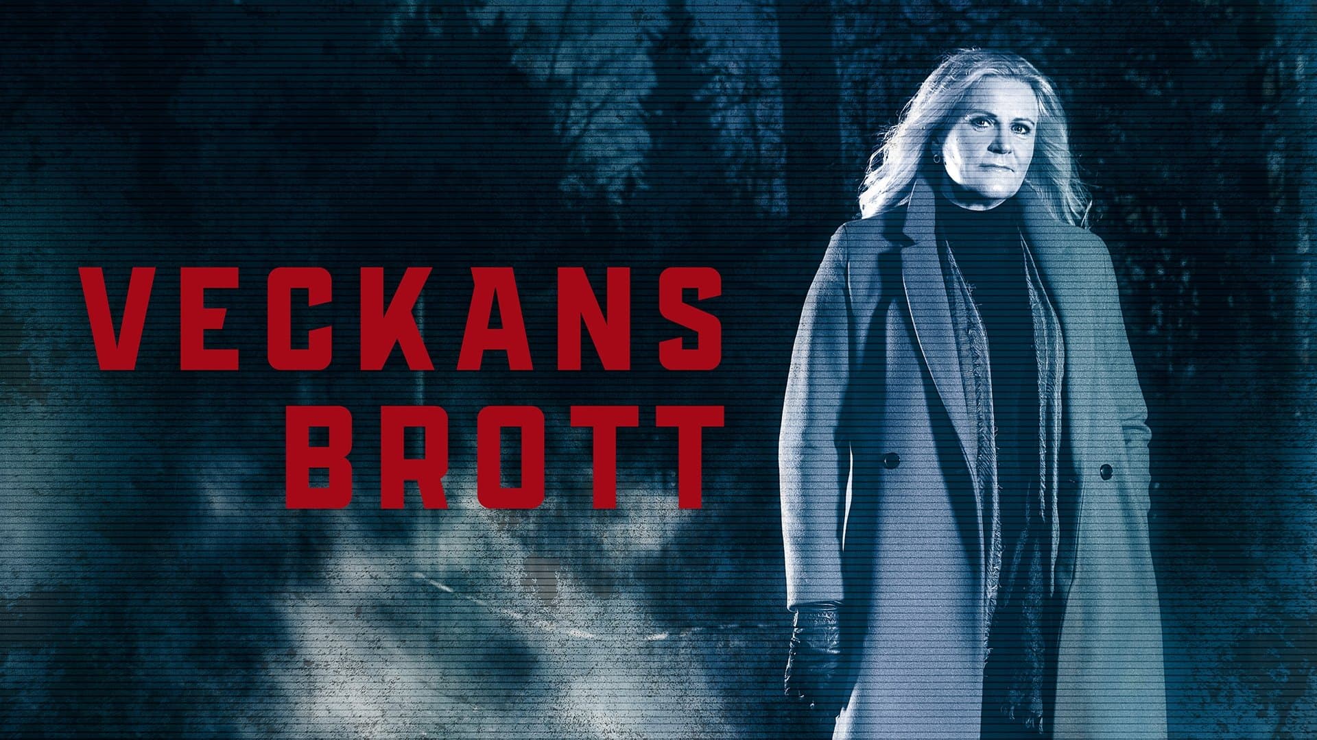 Veckans brott Bajeczki