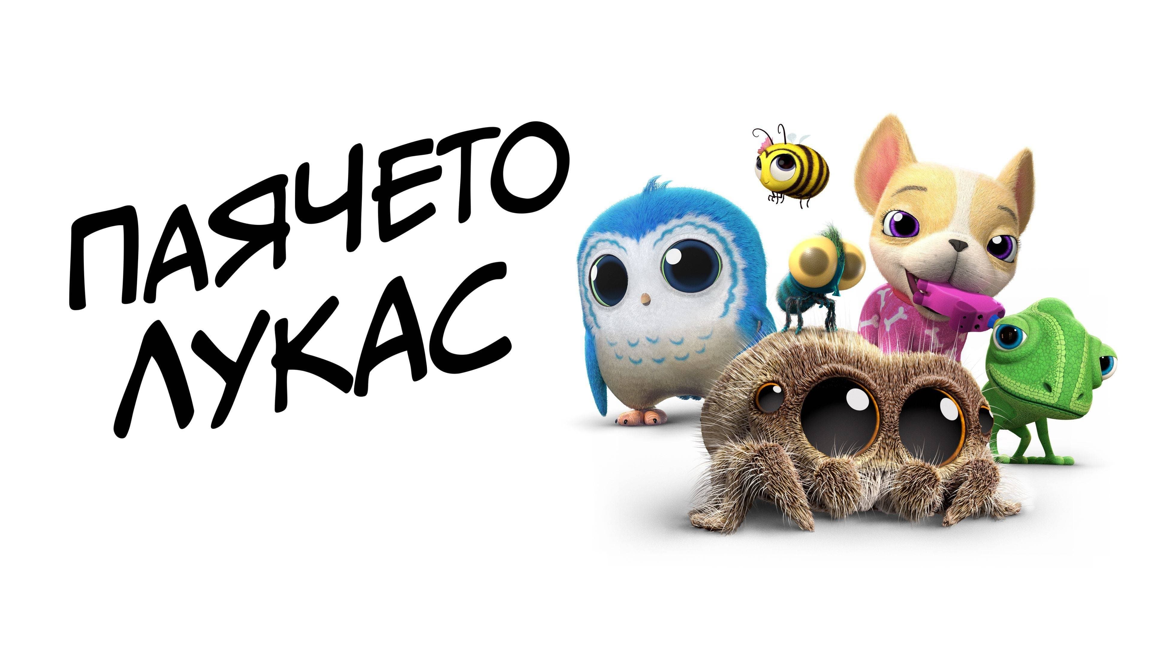Pająk Lucas Bajeczki