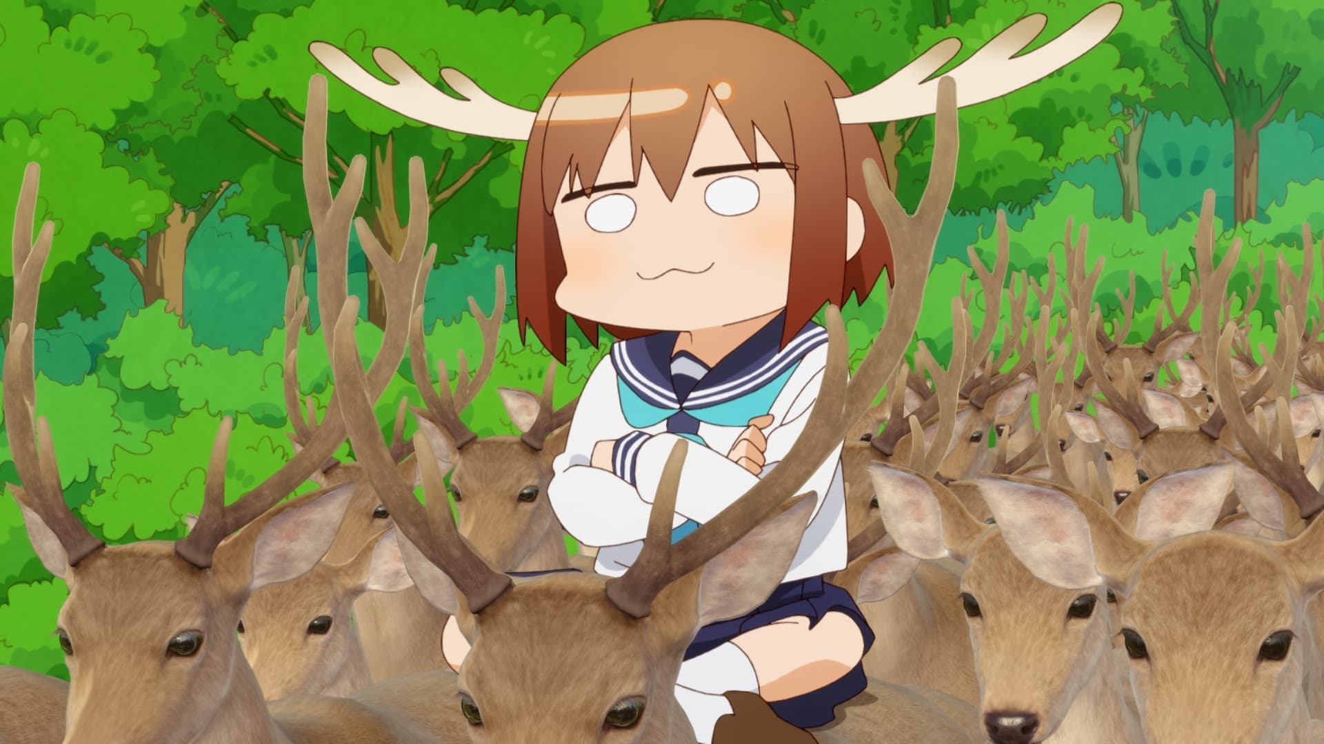 My Deer Friend Nokotan Bajeczki