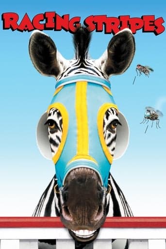 Zebra z klasą Bajeczki