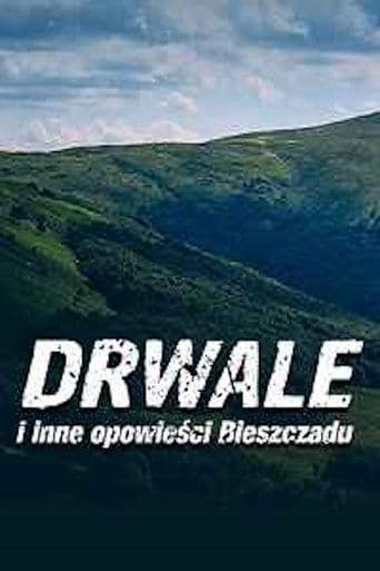 Drwale i inne opowieści Bieszczadu Bajeczki