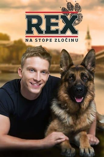Rex Bajeczki