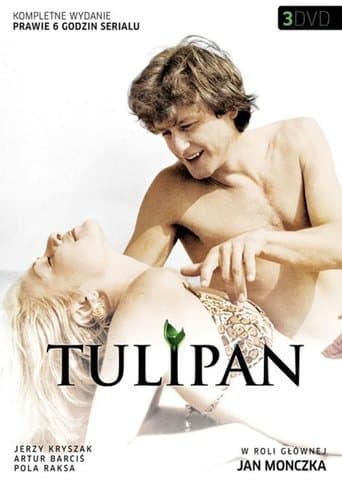 Tulipan Bajeczki