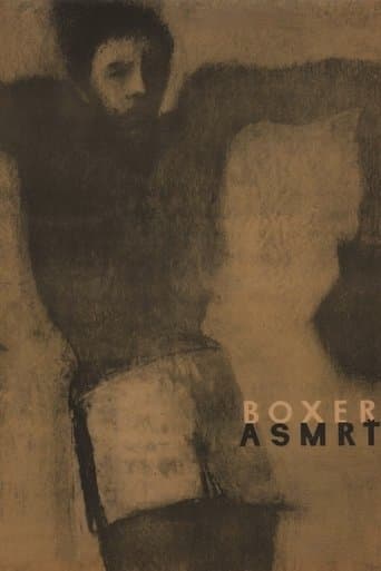Boxer a smrť Bajeczki