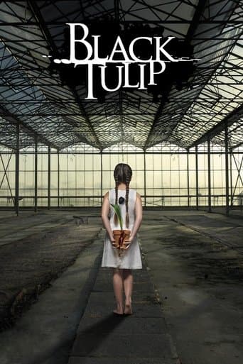 Zwarte Tulp Bajeczki