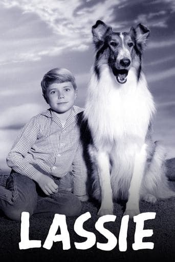 Lassie Bajeczki
