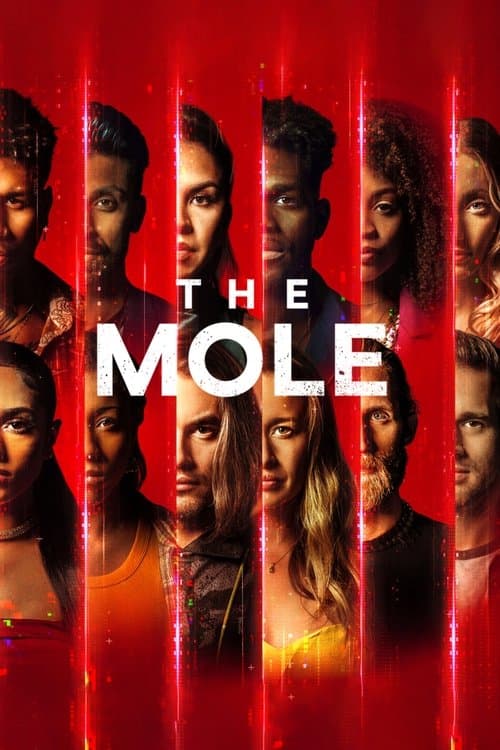 The Mole Bajeczki Wszystkie Odcinki • Serial online