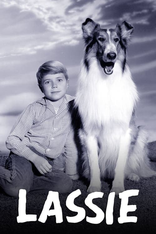 Lassie Bajeczki Wszystkie Odcinki • Serial online